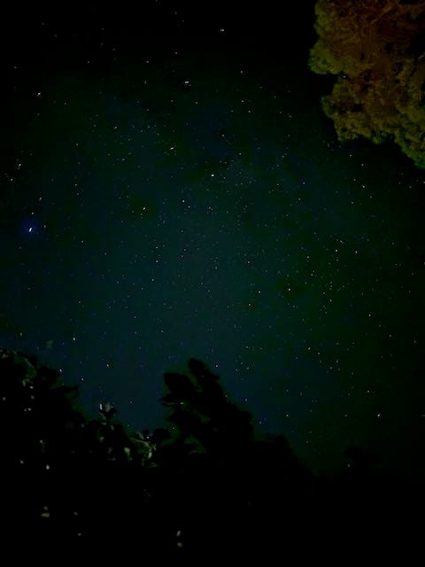 The Beginning of Our Spark in Sicily