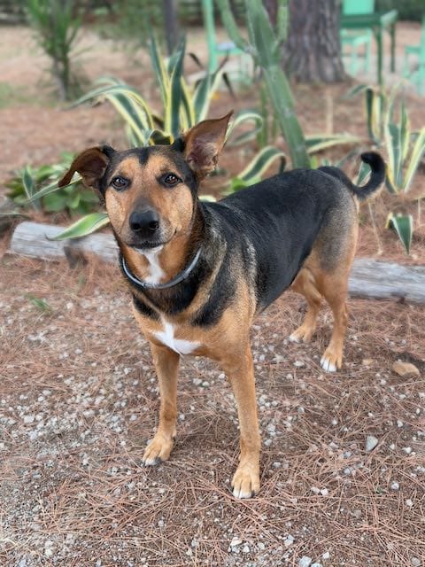 The Beginning of Our Spark in Sicily