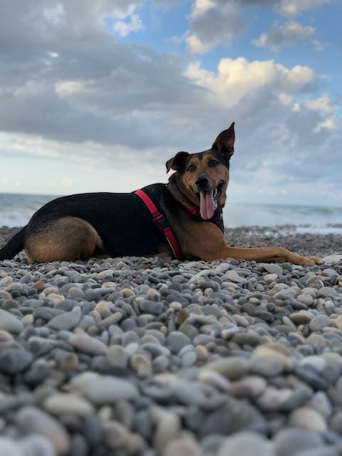 The Beginning of Our Spark in Sicily