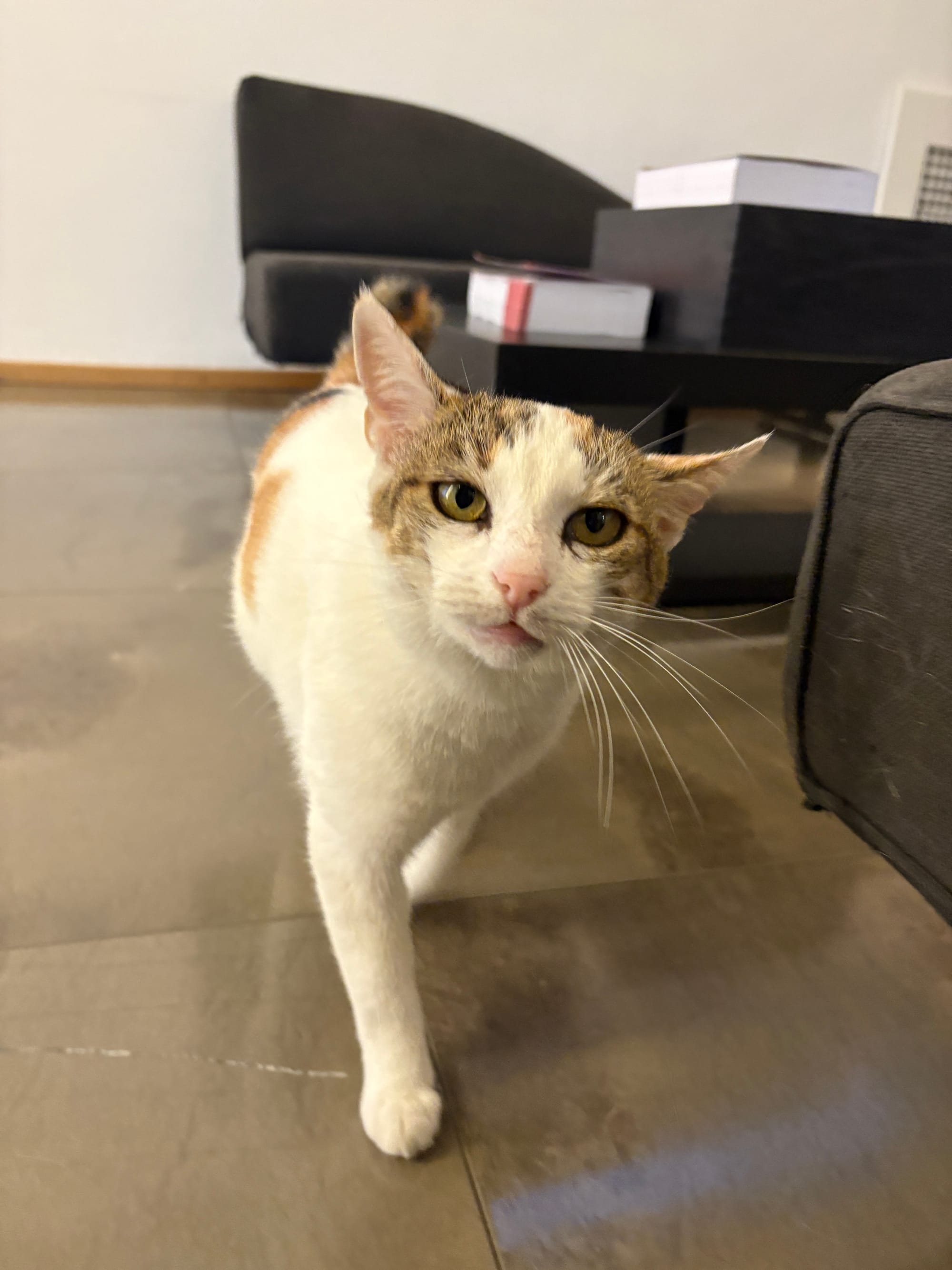 Cusumano Winery: A Beautiful Sicilian Find (And No, It’s Not an Ad)