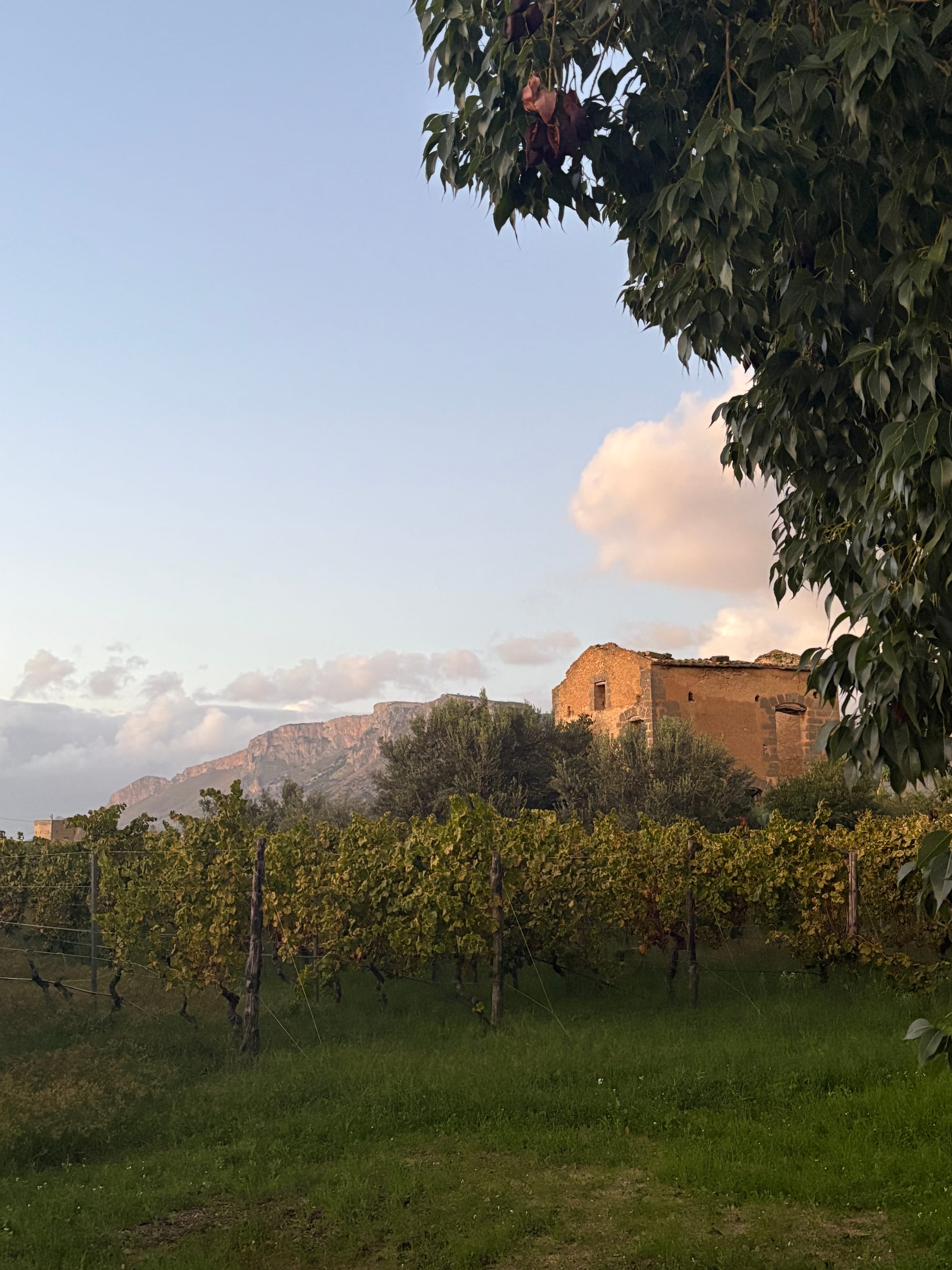 Cusumano Winery: A Beautiful Sicilian Find (And No, It’s Not an Ad)