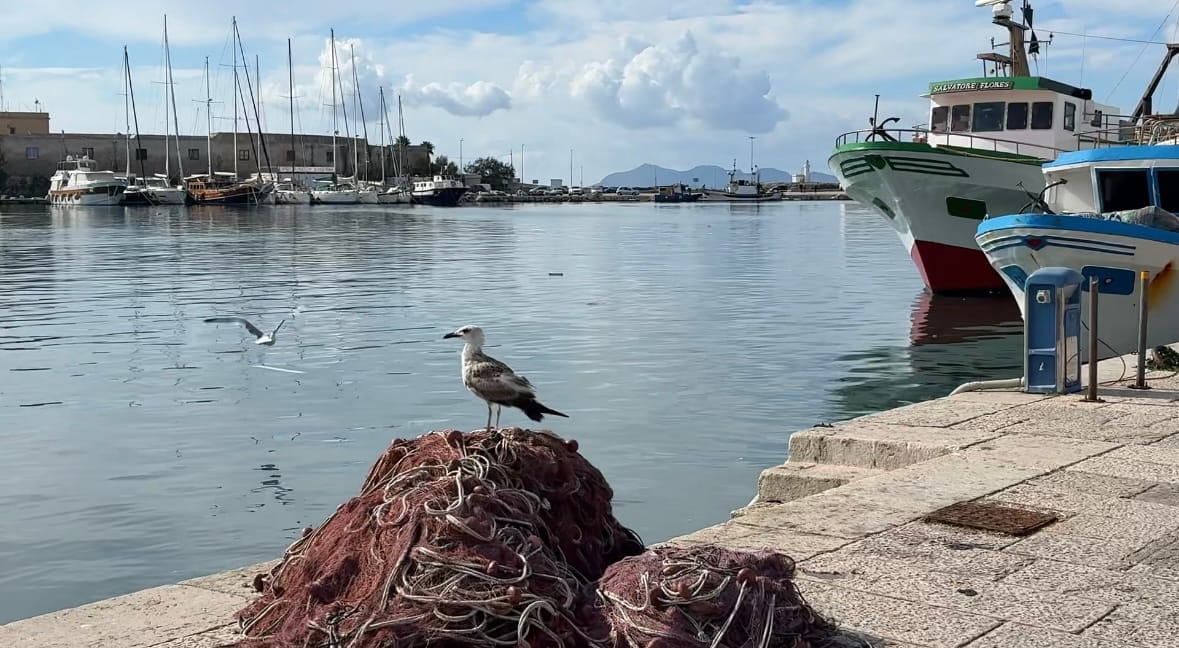 Trapani. How Beautiful It Is and How Wrong We Were About It