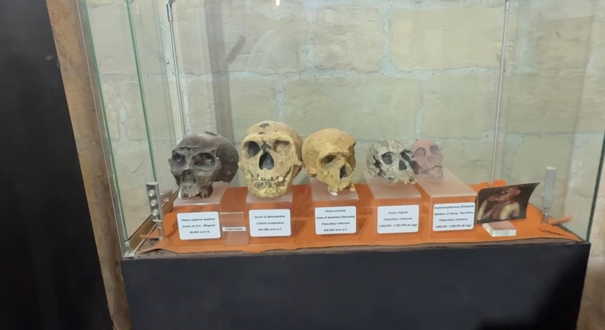 Trapani. How Beautiful It Is and How Wrong We Were About It