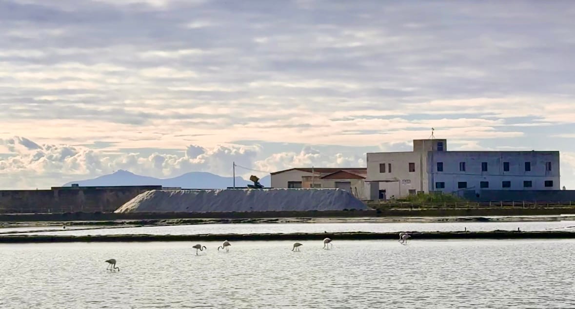 Trapani. How Beautiful It Is and How Wrong We Were About It