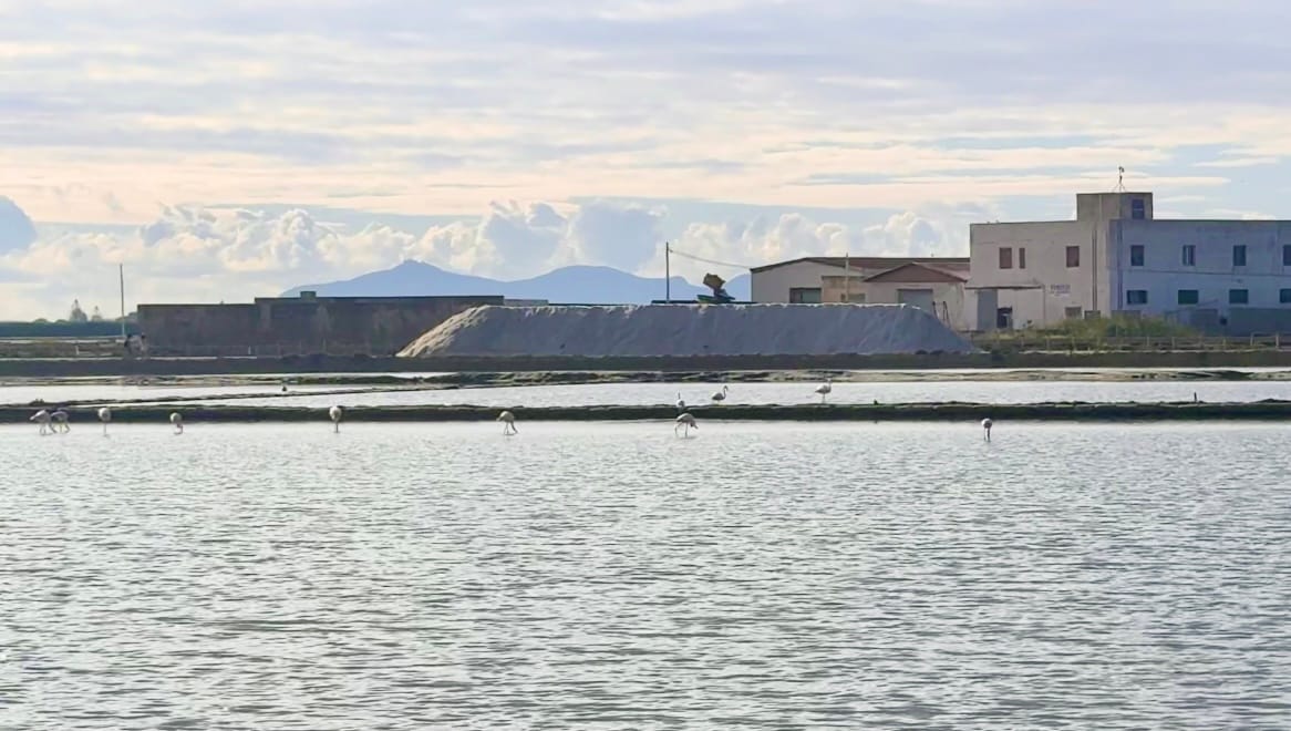 Trapani. How Beautiful It Is and How Wrong We Were About It