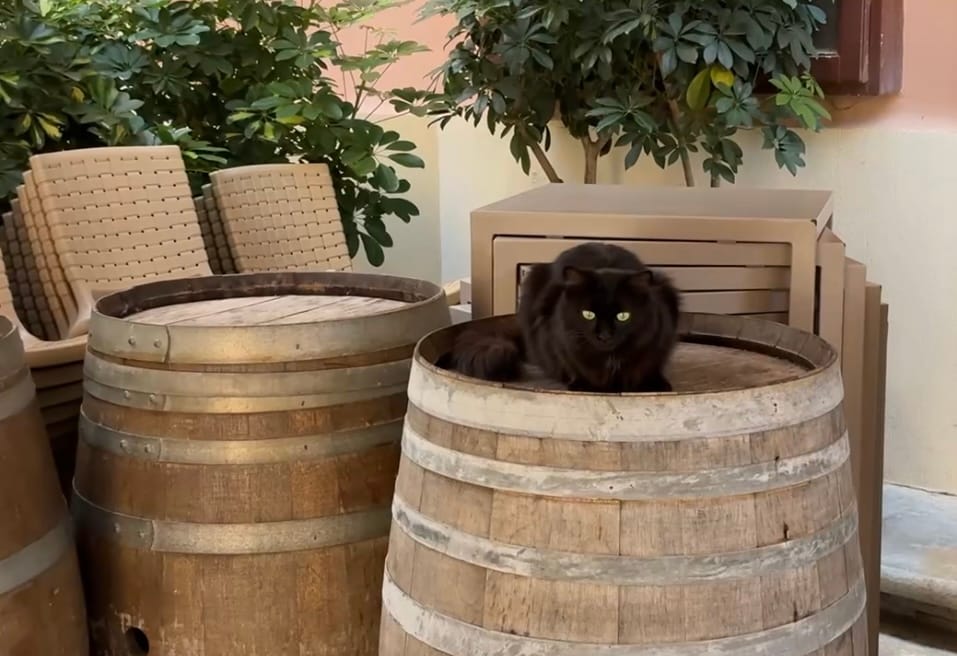 Trapani. How Beautiful It Is and How Wrong We Were About It