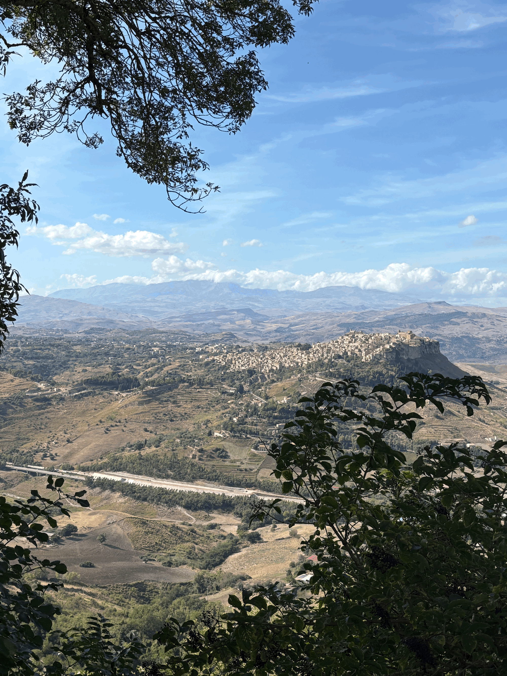 Enna. The Beautiful Surprise We Didn’t See Coming