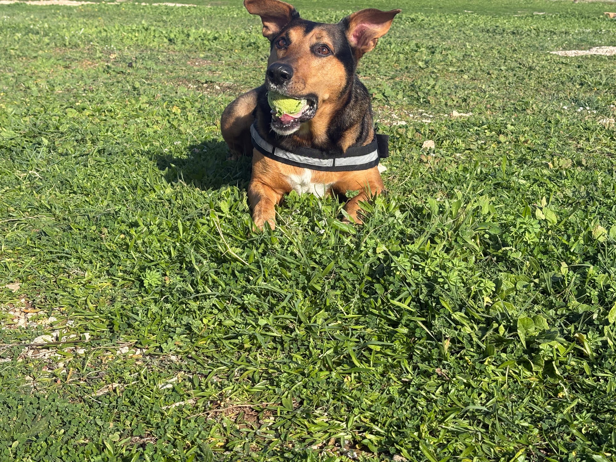 First Three Months in Sicily. What It’s Really Like To Start a New Life Here.