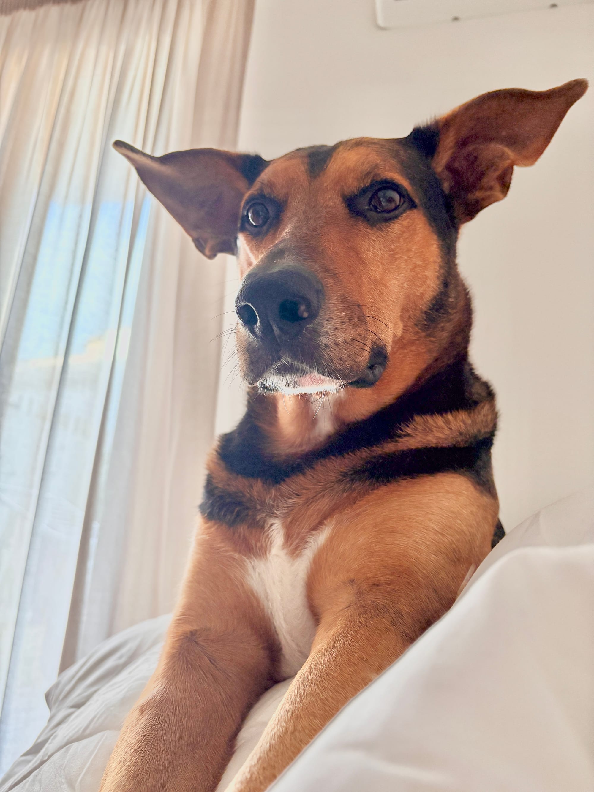 First Three Months in Sicily. What It’s Really Like To Start a New Life Here.